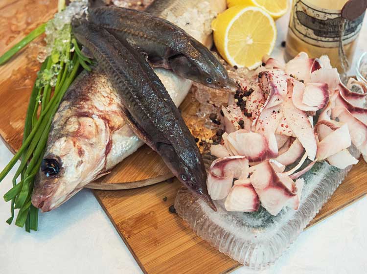 Food Trends