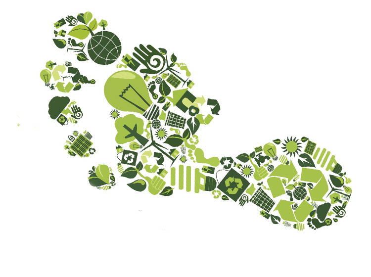 Sustainability