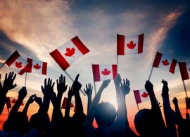 Immigration & Diversity