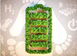 Sustainability